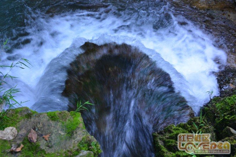 虫虫助手下载