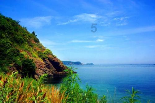 知识星球平台请问这是什么花?是玉兰花吗,打造专业学习交流平台